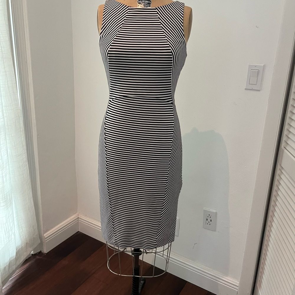 NWT! Banana Republic Stripe dress